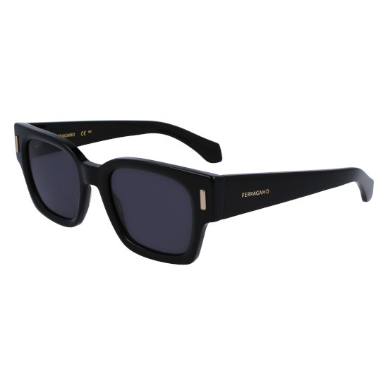 Picture of Ferragamo Rivets Square Sunglasses - Black