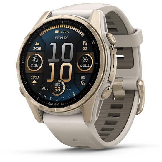 Picture of Garmin fenix 8 AMOLED - Sapphire, Gold with Fog Gray Band