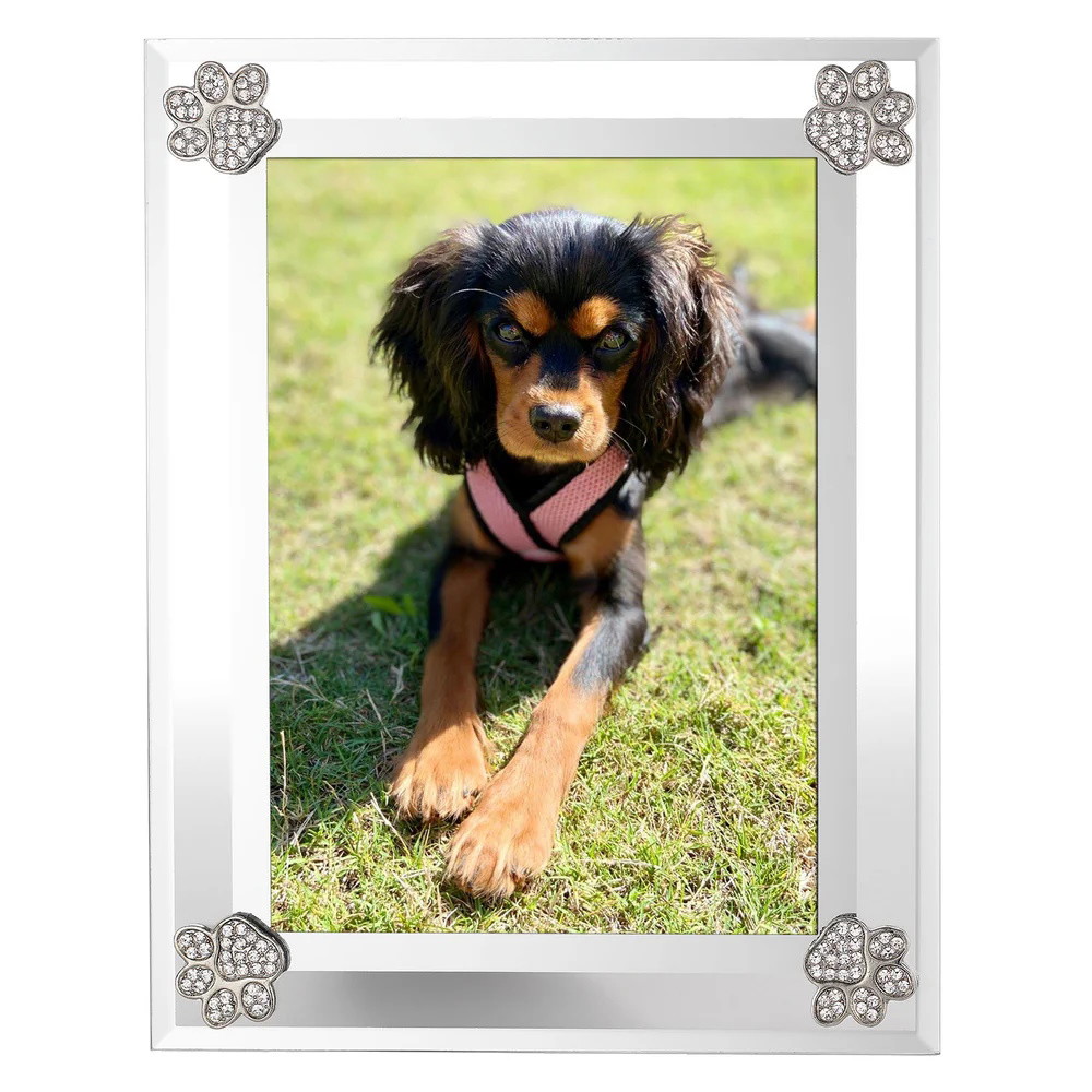 Picture of Olivia Riegel Paw Print 5'' x 7'' Frame