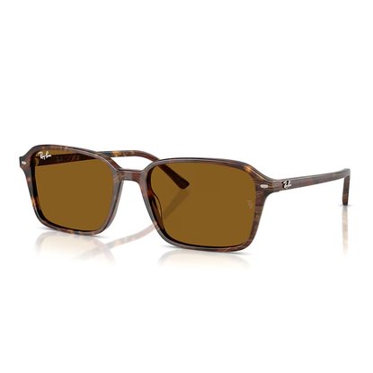 Picture of Ray-Ban Raimond Sunglasses-Transparent Fantasy Brown Frame