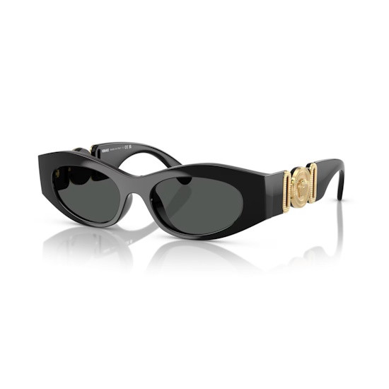 Picture of Versace Black/Gold Logo Frame Sunglasses with Dark Grey Lens