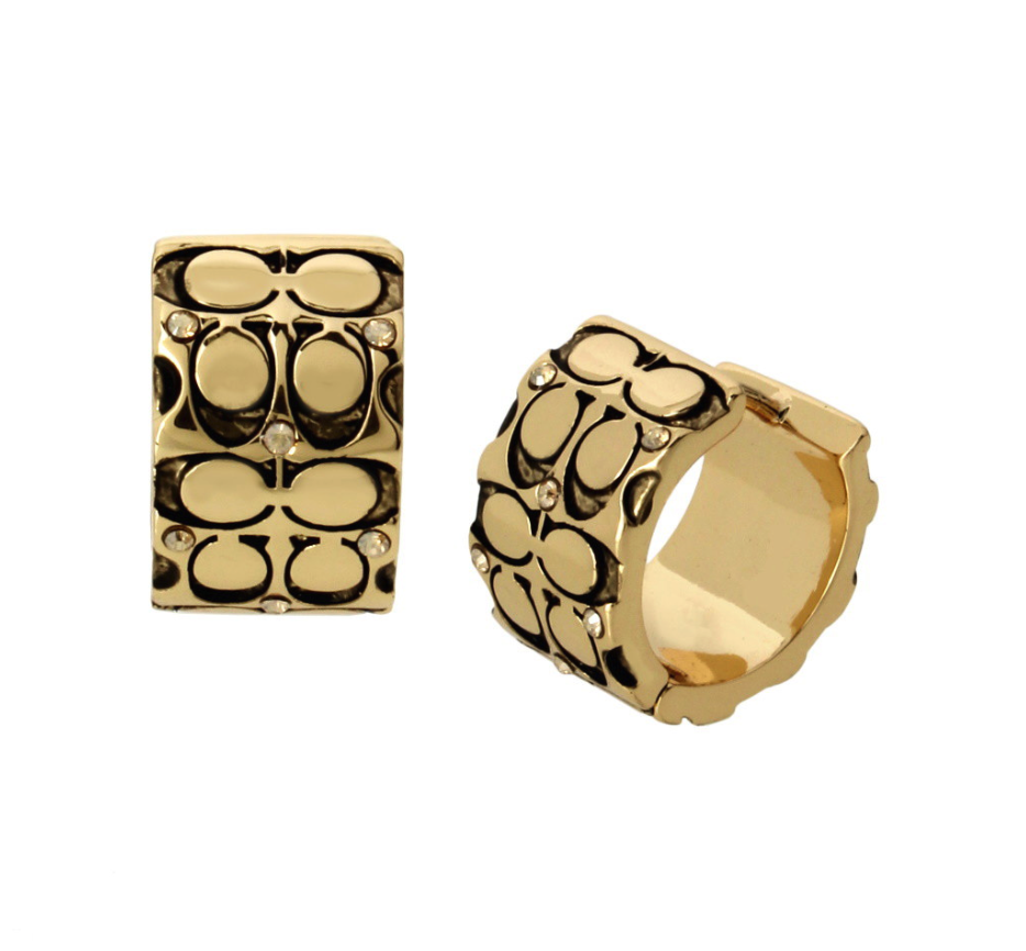 Picture for category Earrings