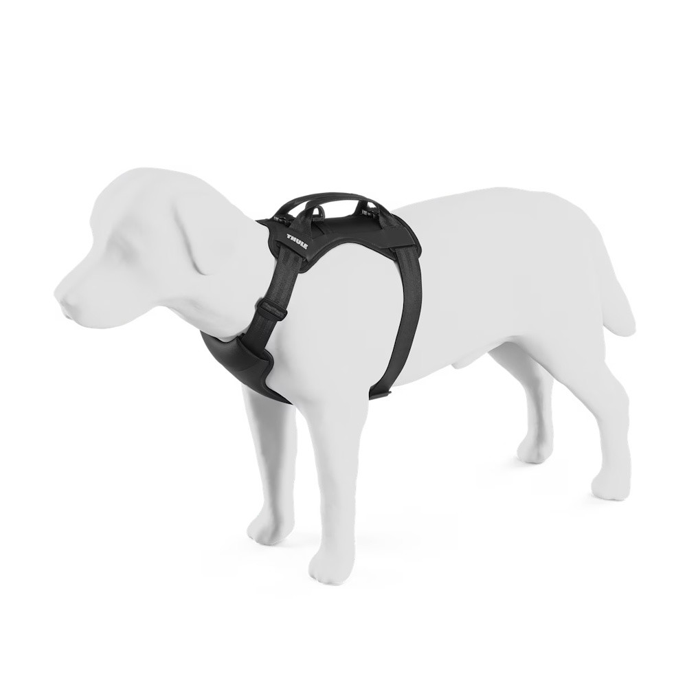Picture of Thule Cappy Dog Car Harness - Small