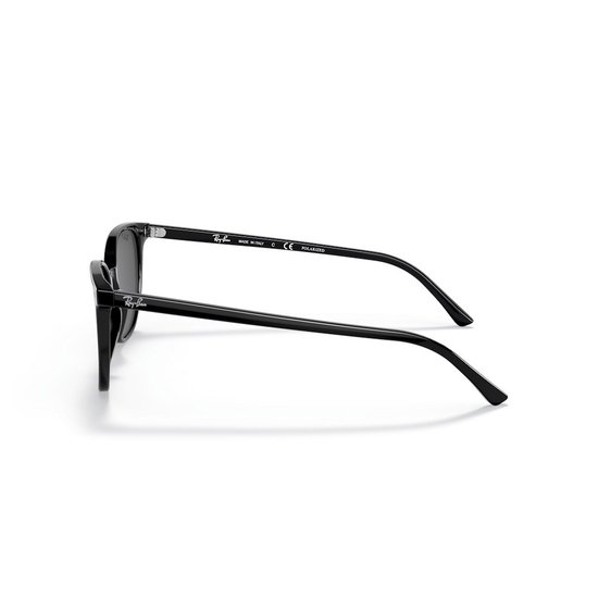 Picture of Ray-Ban Elliot Sunglasses - Black Polarized