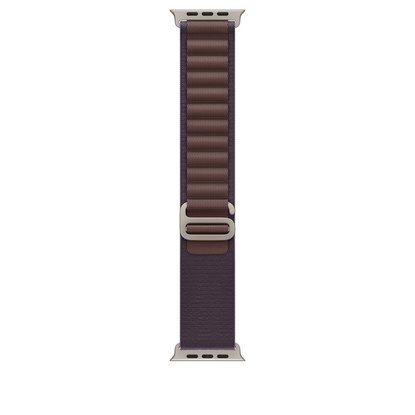 Picture of Apple 49mm Indigo Alpine Loop Small - Natural Titanium Finish