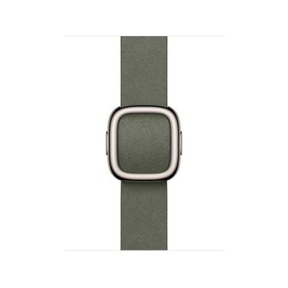 Picture of Apple 42mm Sage Gray Modern Buckle - Medium