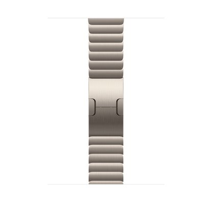 Picture of Apple 46mm Natural Link Bracelet