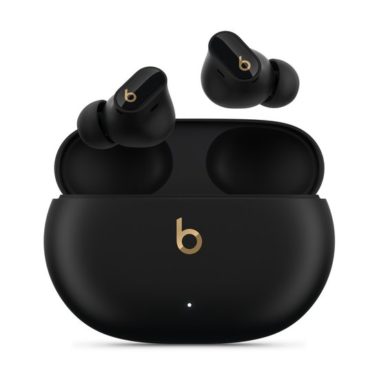 Picture of Beats Studio Buds +