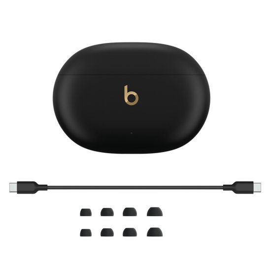 Picture of Beats Studio Buds +
