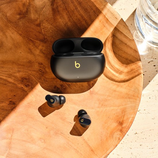 Picture of Beats Studio Buds +