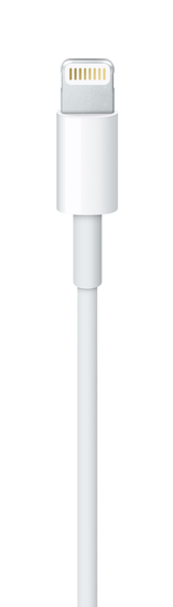 Picture of 3.3' (1M) Lightning to USB Cable