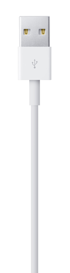 Picture of 3.3' (1M) Lightning to USB Cable