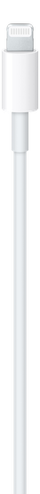 Picture of 3.3' (1M) USB-C to Lightning Cable