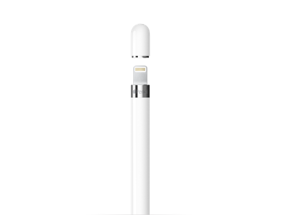 Picture of Pencil (1st Generation) with USB-C to Pencil Adapter