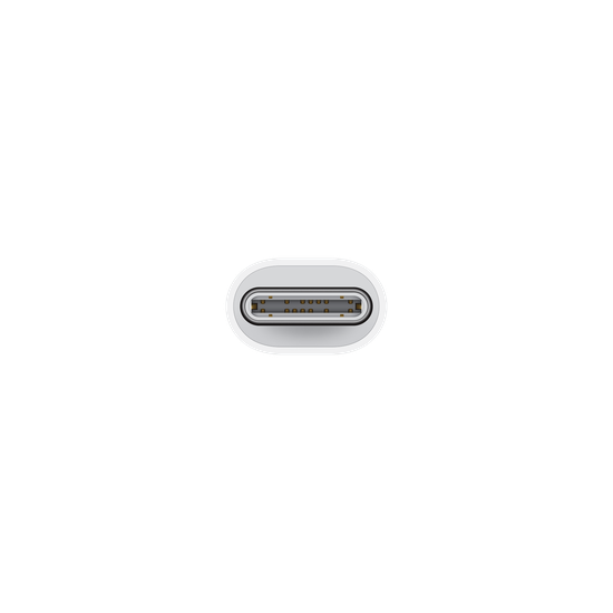 Picture of USB-C to Lightning Adapter