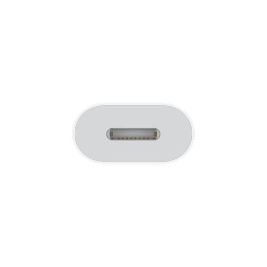 Picture of USB-C to Lightning Adapter