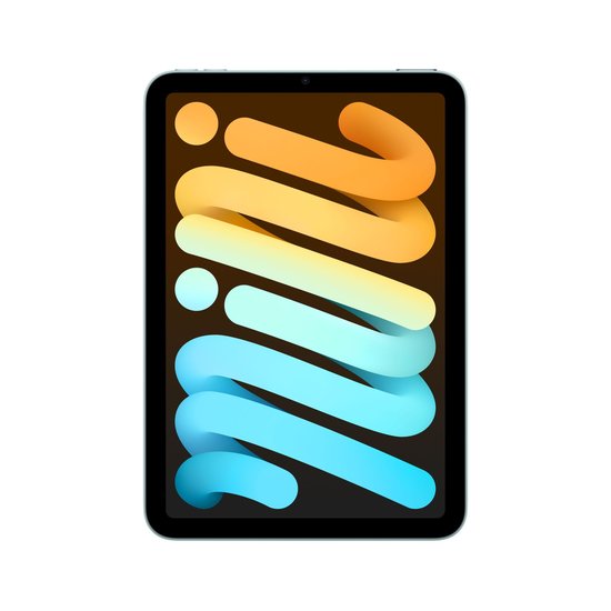 Picture of iPad mini