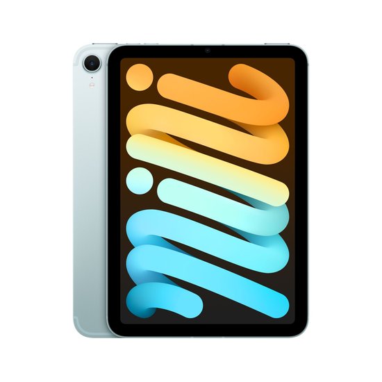 Picture of iPad mini