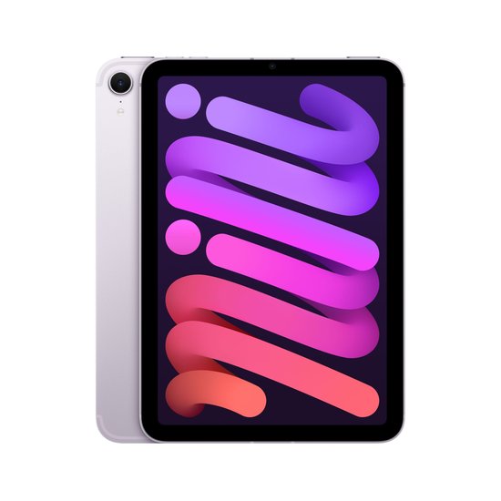 Picture of iPad mini
