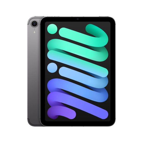 Picture of iPad mini
