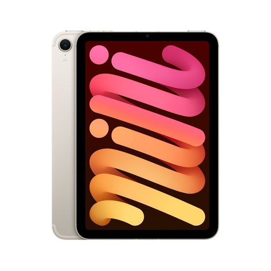 Picture of iPad mini