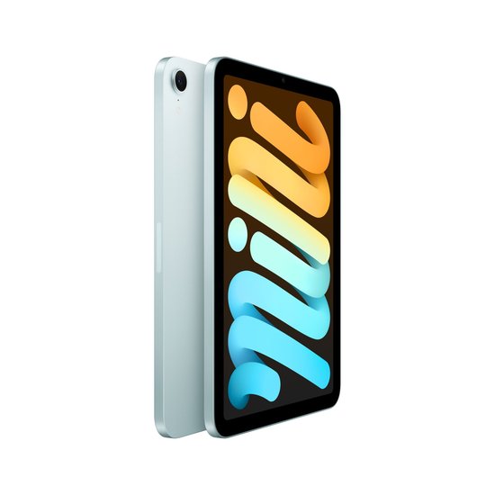 Picture of iPad mini