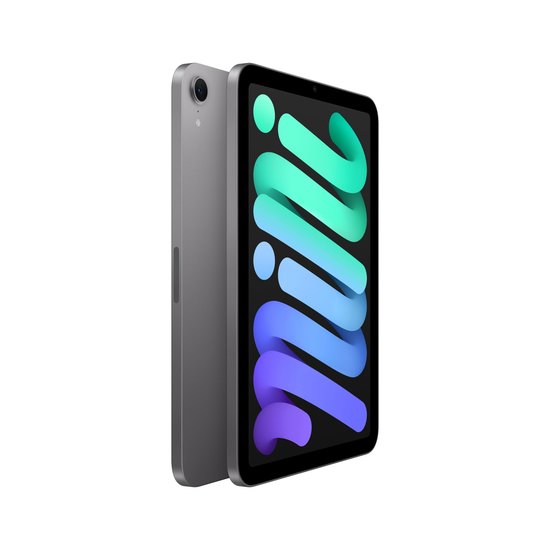 Picture of iPad mini