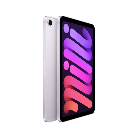Picture of iPad mini