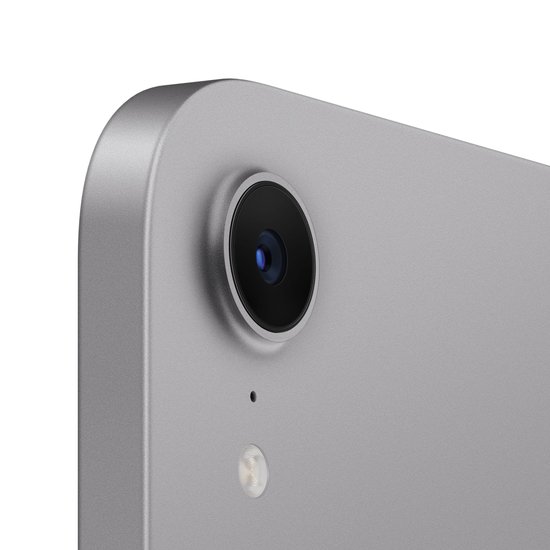 Picture of iPad mini
