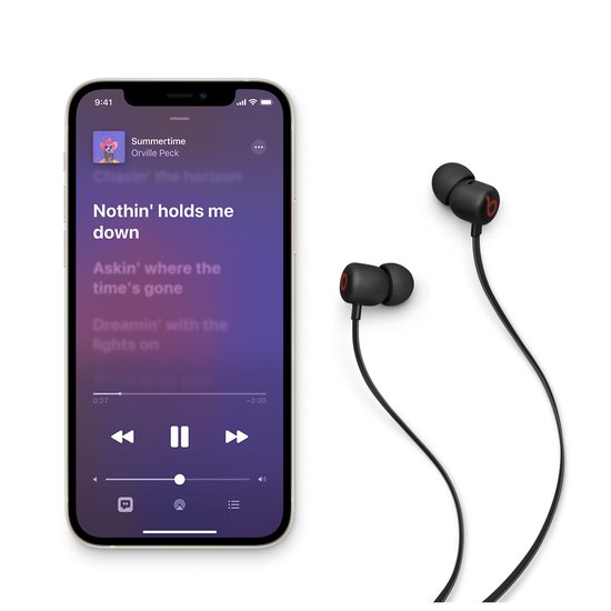 Picture of Beats Flex