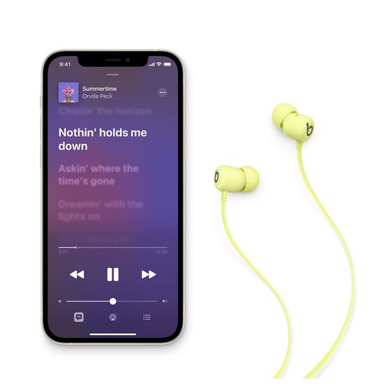 Picture of Beats Flex