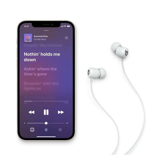 Picture of Beats Flex
