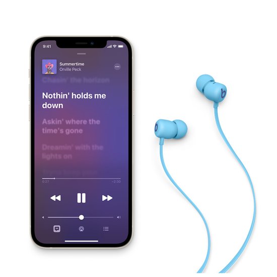 Picture of Beats Flex