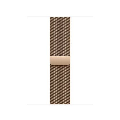 Picture of Milanese Loop