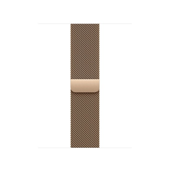Picture of Milanese Loop