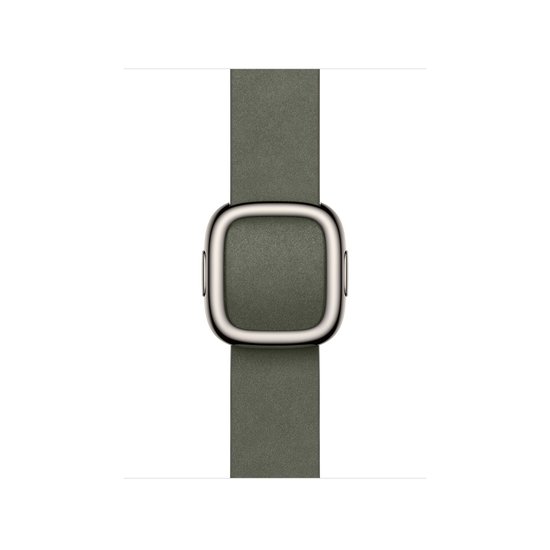 Picture of Modern Buckle