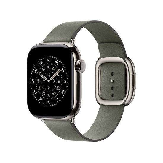Picture of Modern Buckle